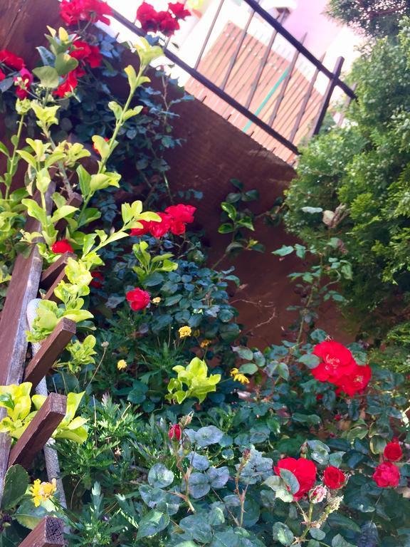 B&B Limone San Leone Extérieur photo